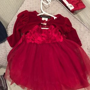 Biscotti holiday dress
